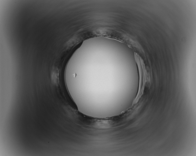 X0000099500332200805150955