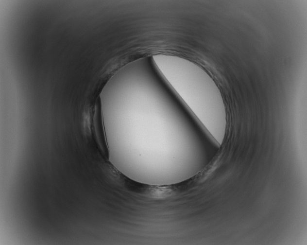 X0000099500333200805150955