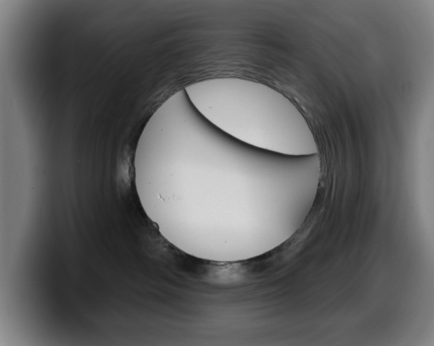 X0000099500334200805150955