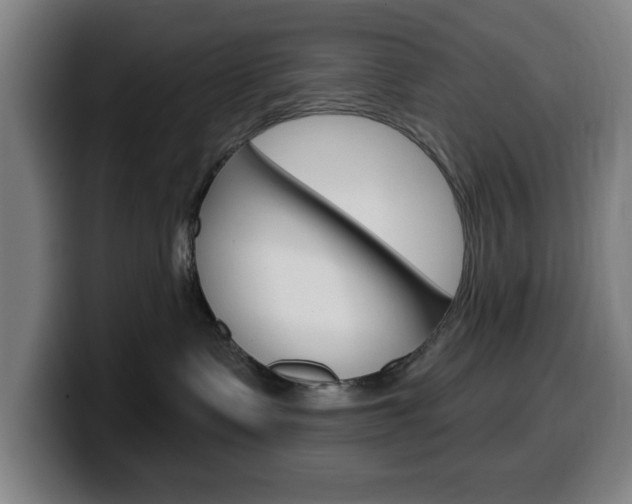 X0000099500335200805150955