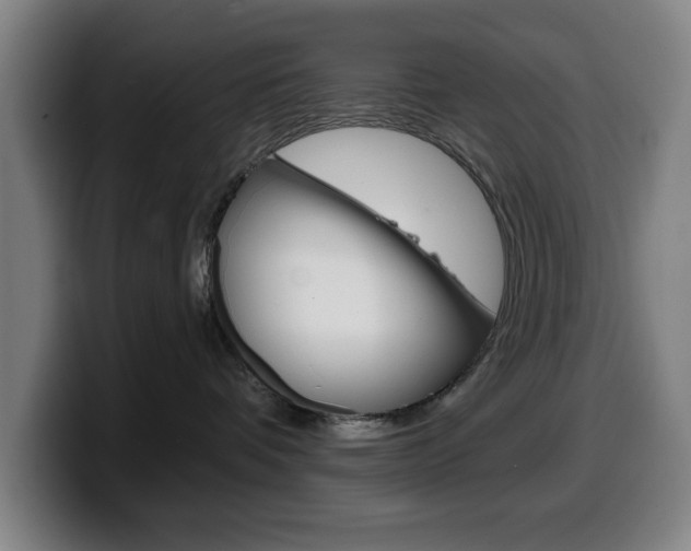 X0000099500336200805150955