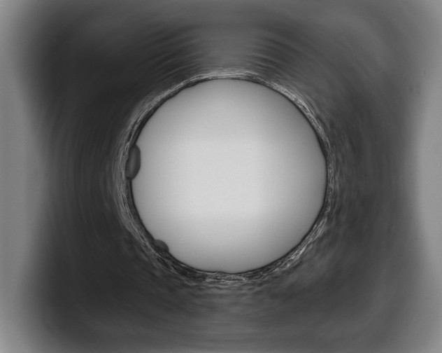 X0000099500337200805150954