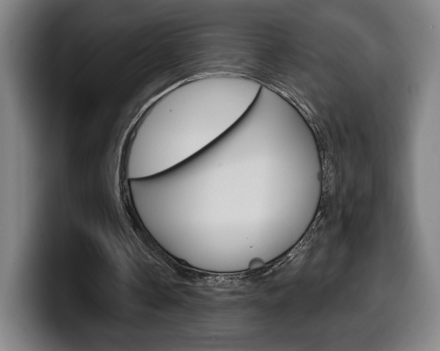 X0000099500338200805150954