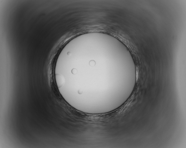 X0000099500339200805150954