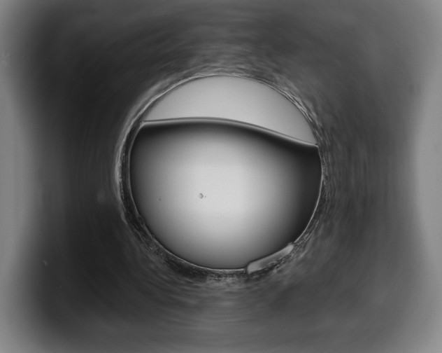 X0000099500340200805150954