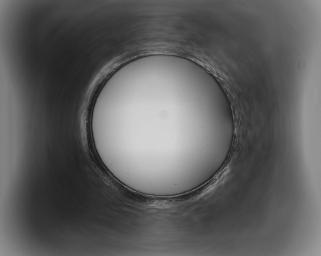 X0000099500341200805150954