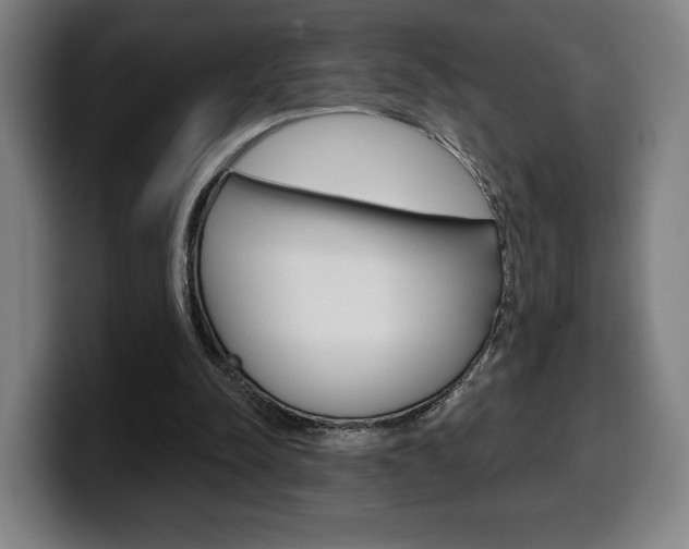 X0000099500342200805150954