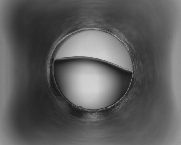 X0000099500344200805150954