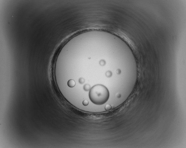 X0000099500346200805150954
