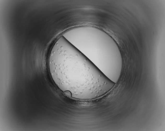 X0000099500347200805150954