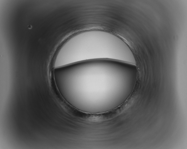 X0000099500350200805150954