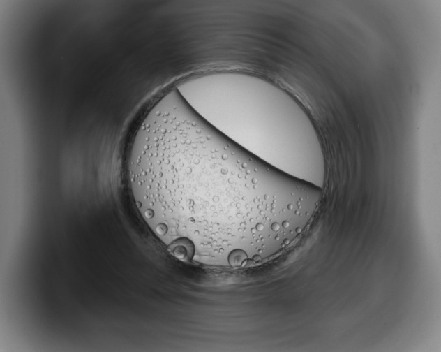 X0000099500351200805150954