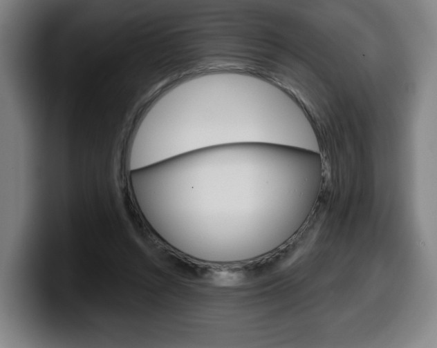 X0000099500352200805150954