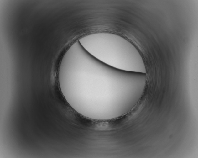X0000099500355200805150954