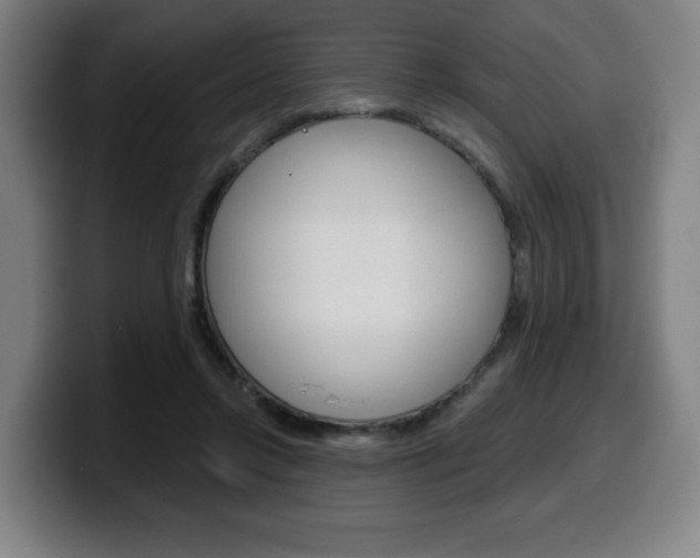 X0000099500358200805150954