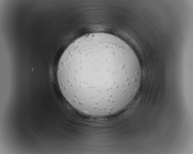 X0000099500359200805150954