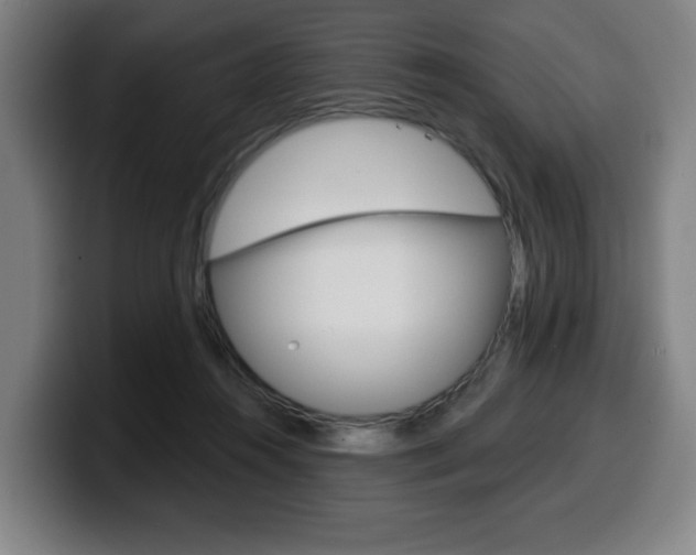 X0000099500360200805150954