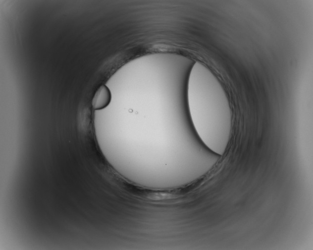 X0000099500361200805150954