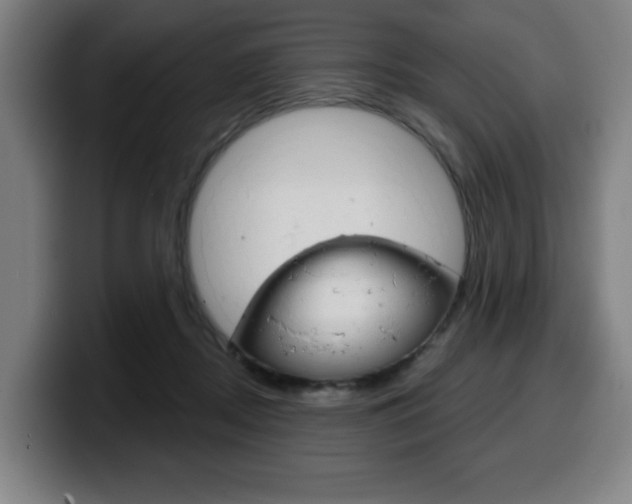 X0000099500362200805150954