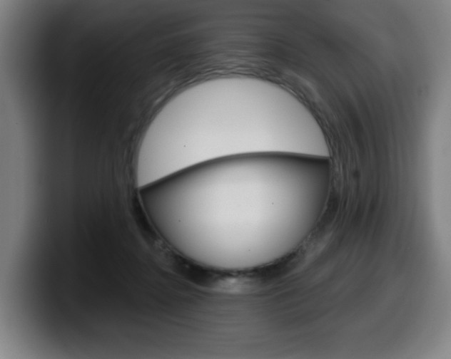 X0000099500364200805150954