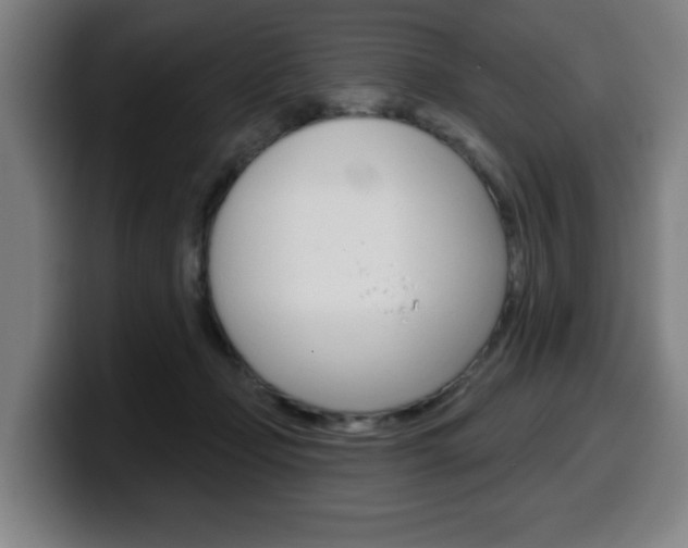 X0000099500365200805150954