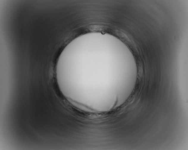 X0000099500367200805150954