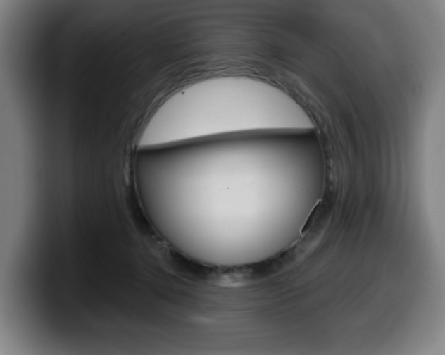 X0000099500368200805150954