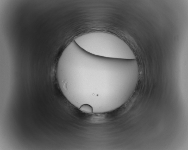 X0000099500369200805150954
