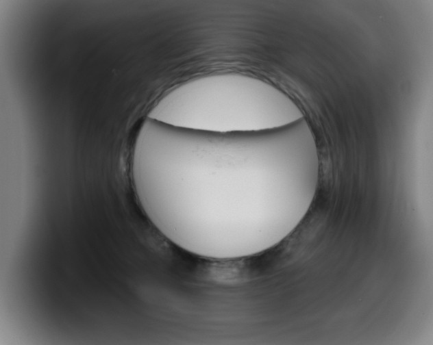 X0000099500373200805150954