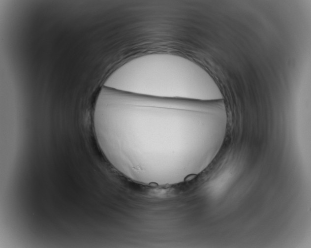 X0000099500375200805150954