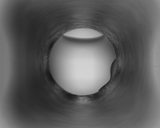X0000099500376200805150954