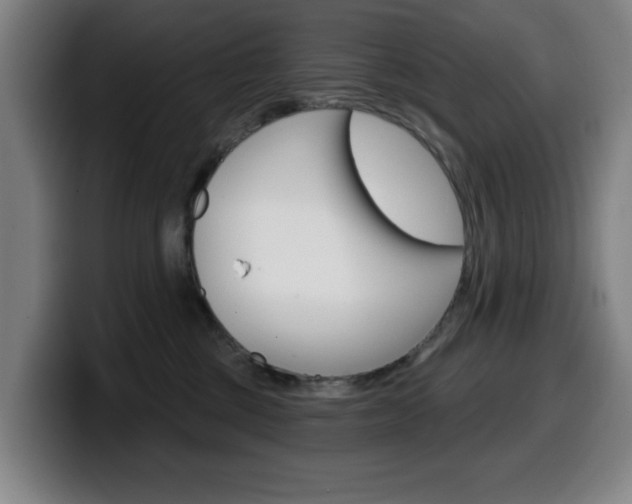 X0000099500377200805150954