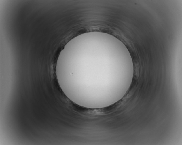 X0000099500378200805150954