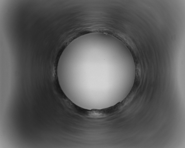 X0000099500380200805150954