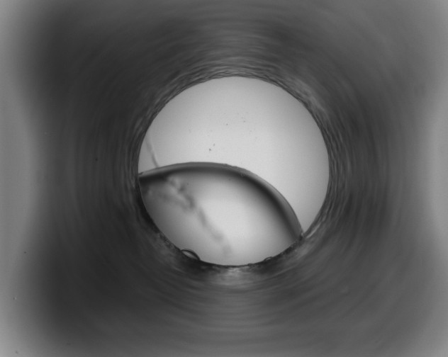 X0000099500382200805150954