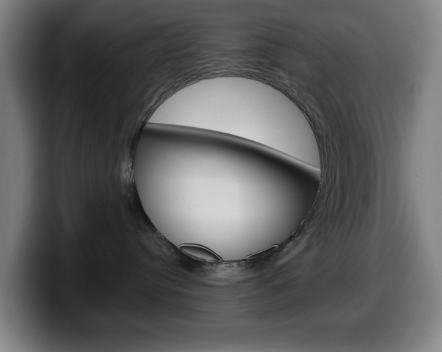 X0000099500384200805150955