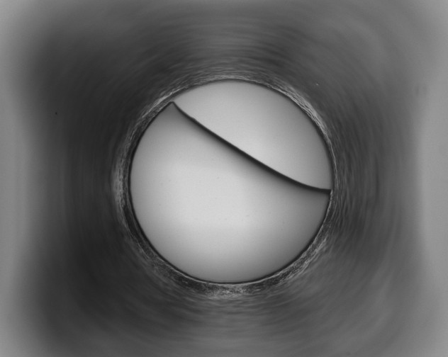 X0000099500386200805150954