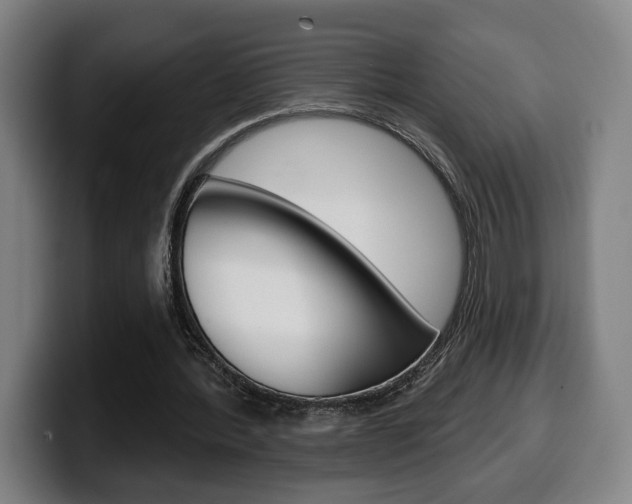 X0000099500388200805150954