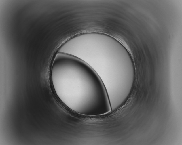 X0000099500389200805150954