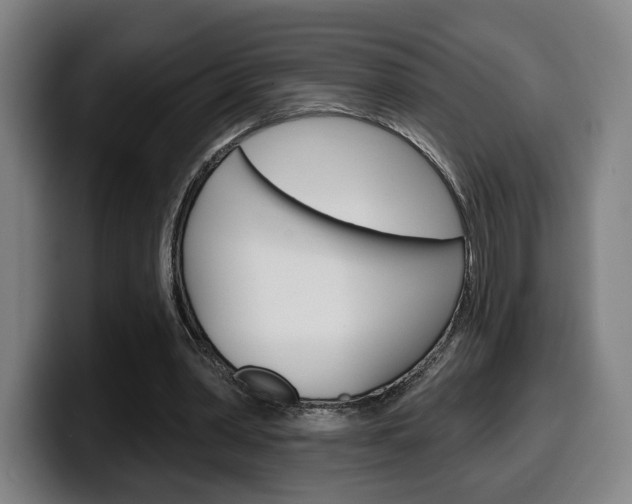 X0000099500390200805150954