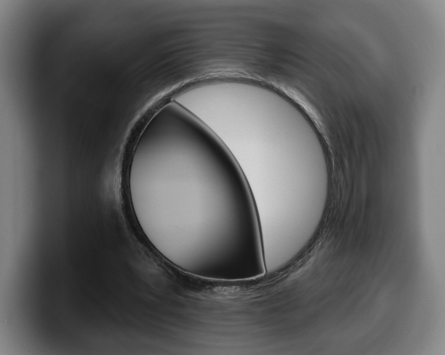 X0000099500391200805150954