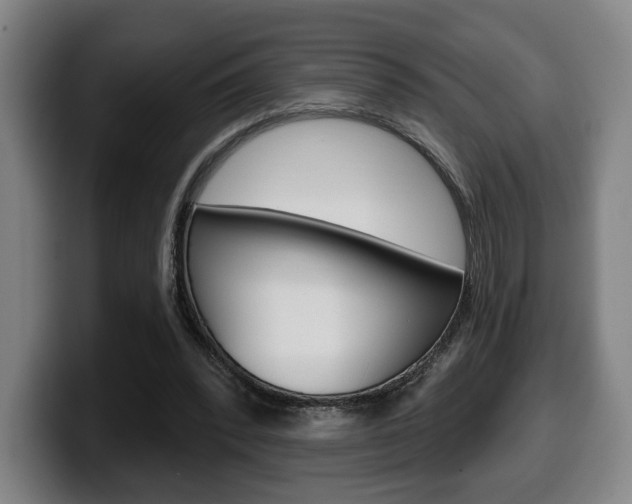 X0000099500392200805150954