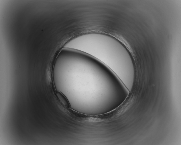 X0000099500393200805150954