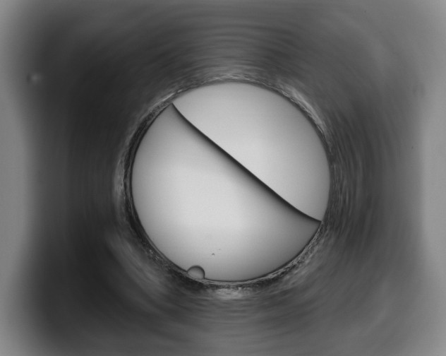 X0000099500394200805150954