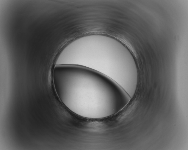 X0000099500397200805150954