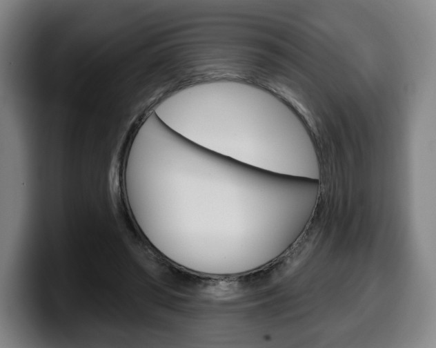 X0000099500398200805150954