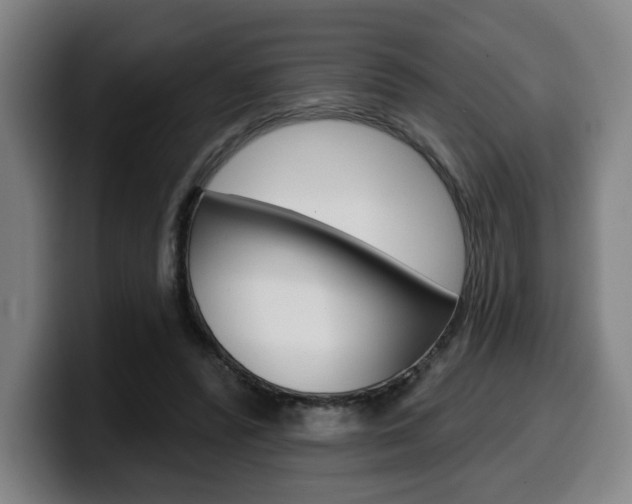 X0000099500400200805150954