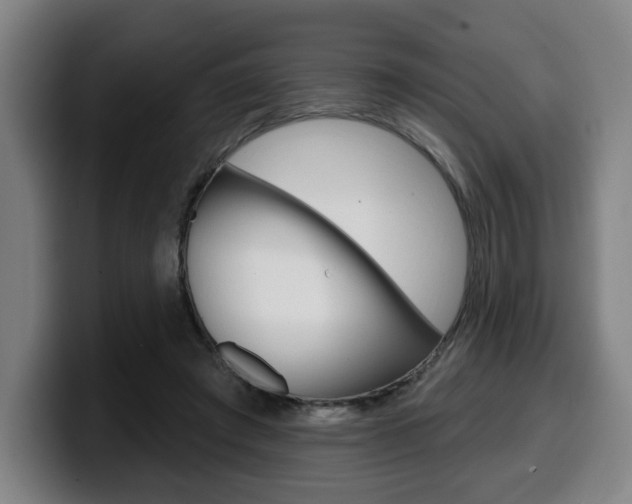 X0000099500401200805150954