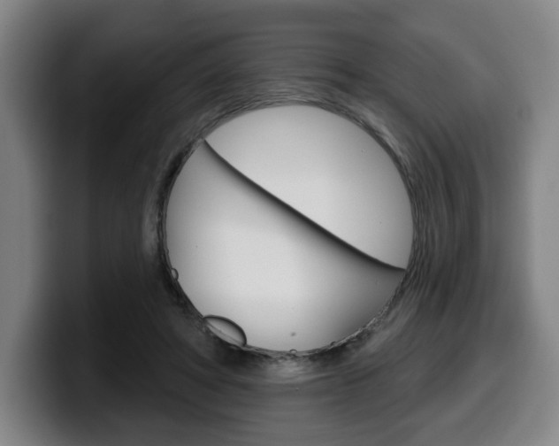 X0000099500402200805150954