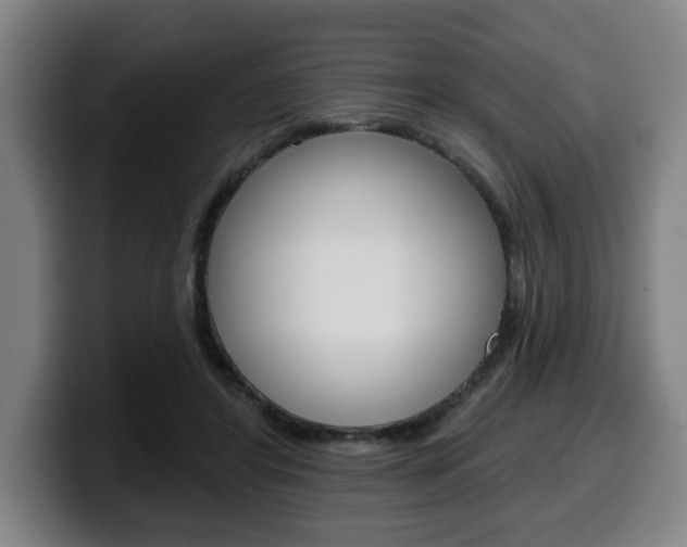X0000099500404200805150954